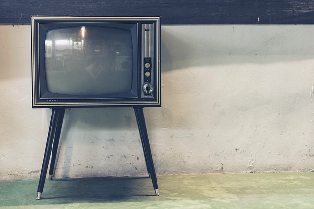 Problemy wokół Telewizji Polskiej Problemy wokół Telewizji Polskiej